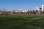 北京林业大学11制足球场