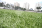北京信息科技大学足球场